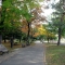 Tokiwa Park in Autumn 5