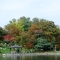 Tokiwa Park in Autumn 6