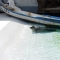 Asahiyama Zoo Seal