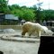 zoo_021