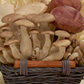 Aibetsu mushroom