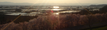 東川町　キトウシ森林公園家族旅行村