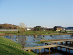 東川町　大雪遊水公園