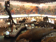 Takikawa natural history museum and science museum